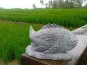 morepic-3